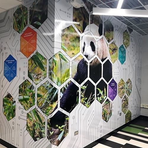 Window & Wall Graphics